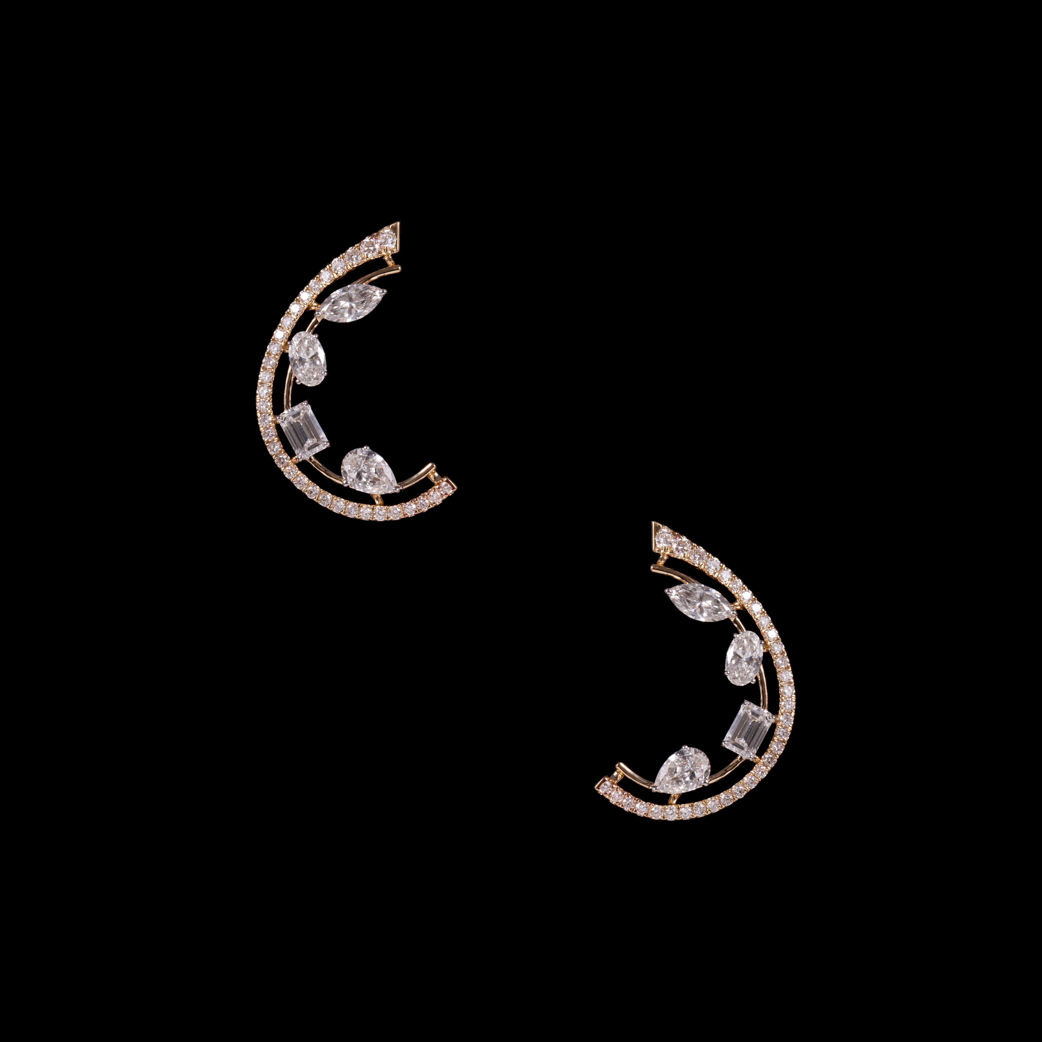 The Aigrette Earrings