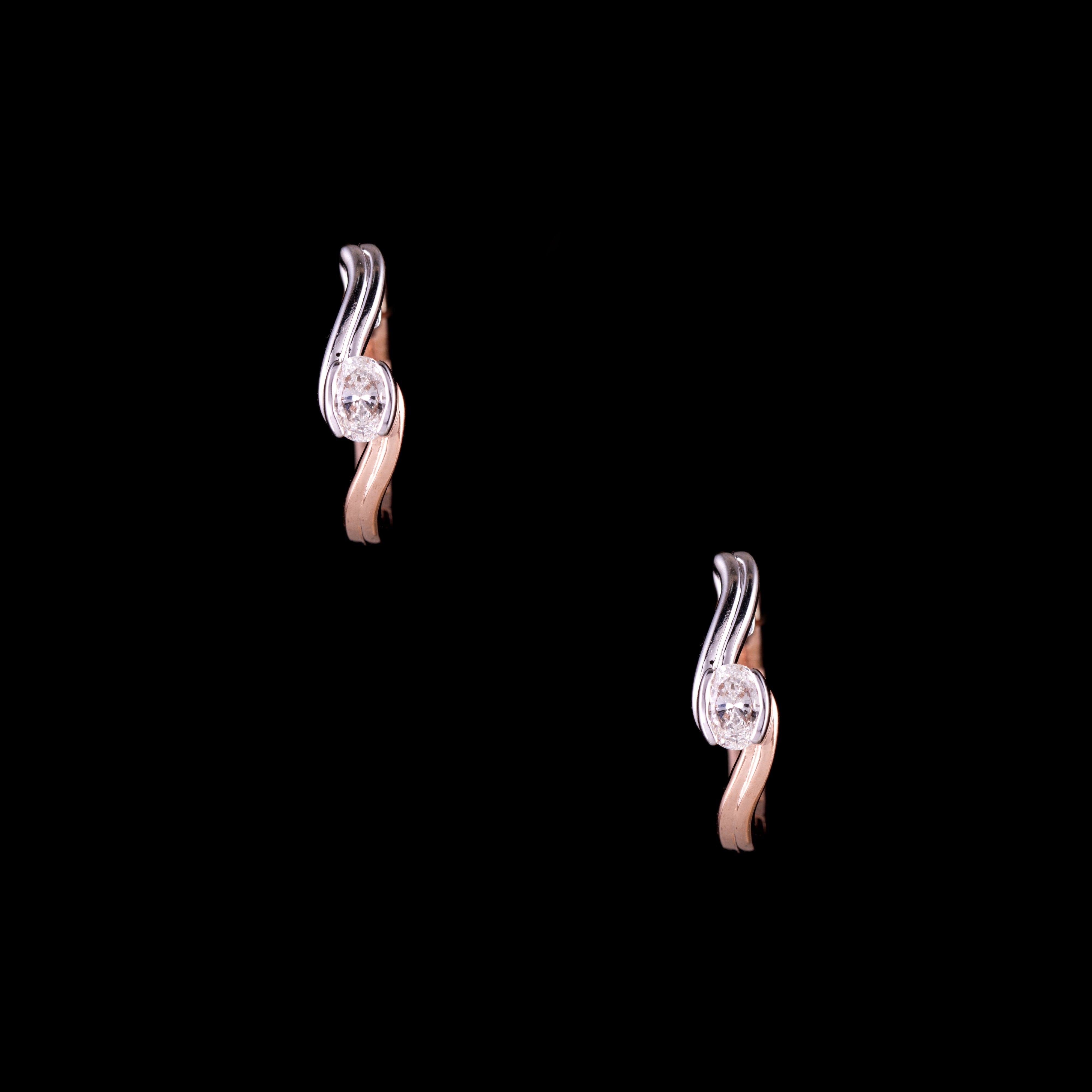 Tail Earring