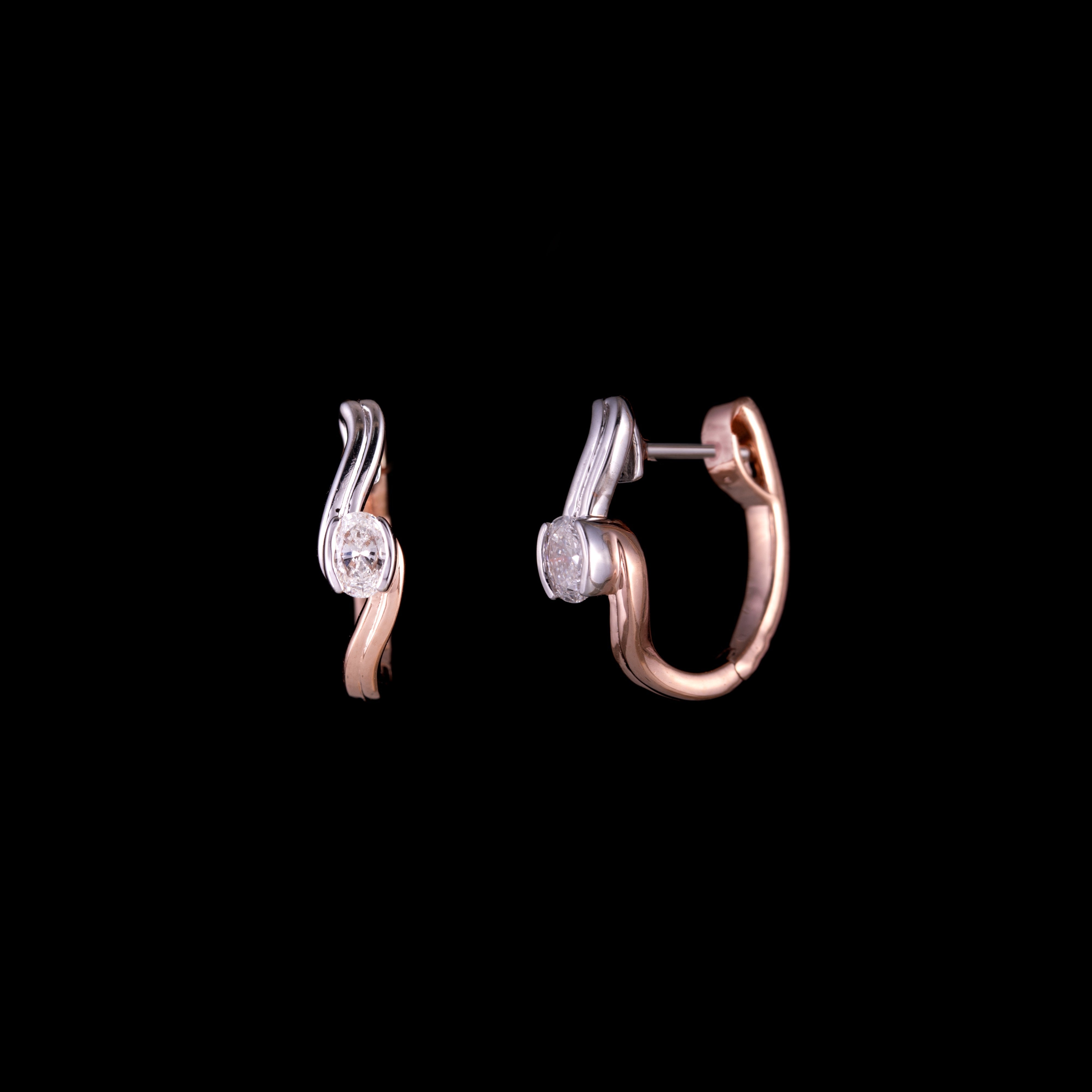Tail Earring
