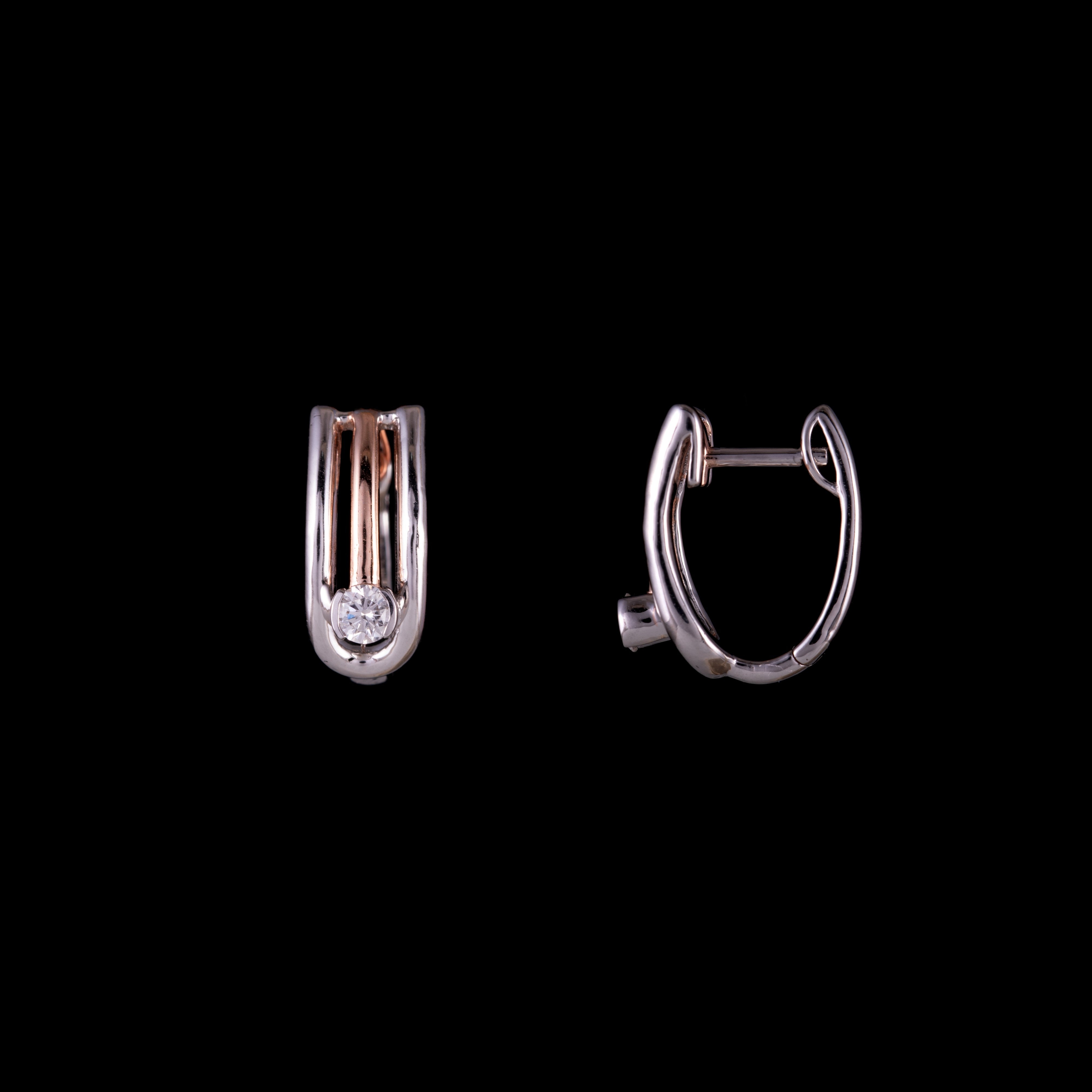 Arch Earrings