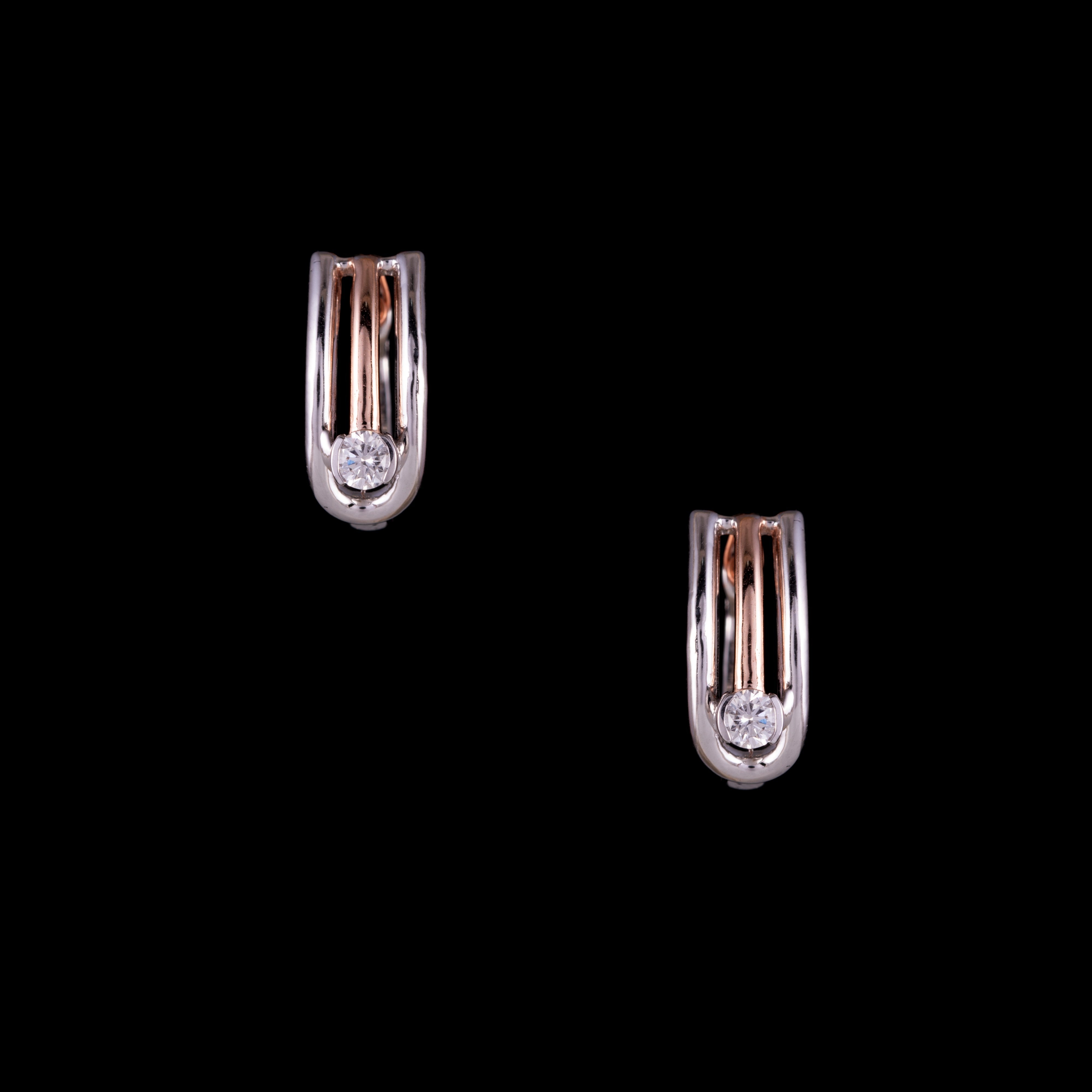 Arch Earrings