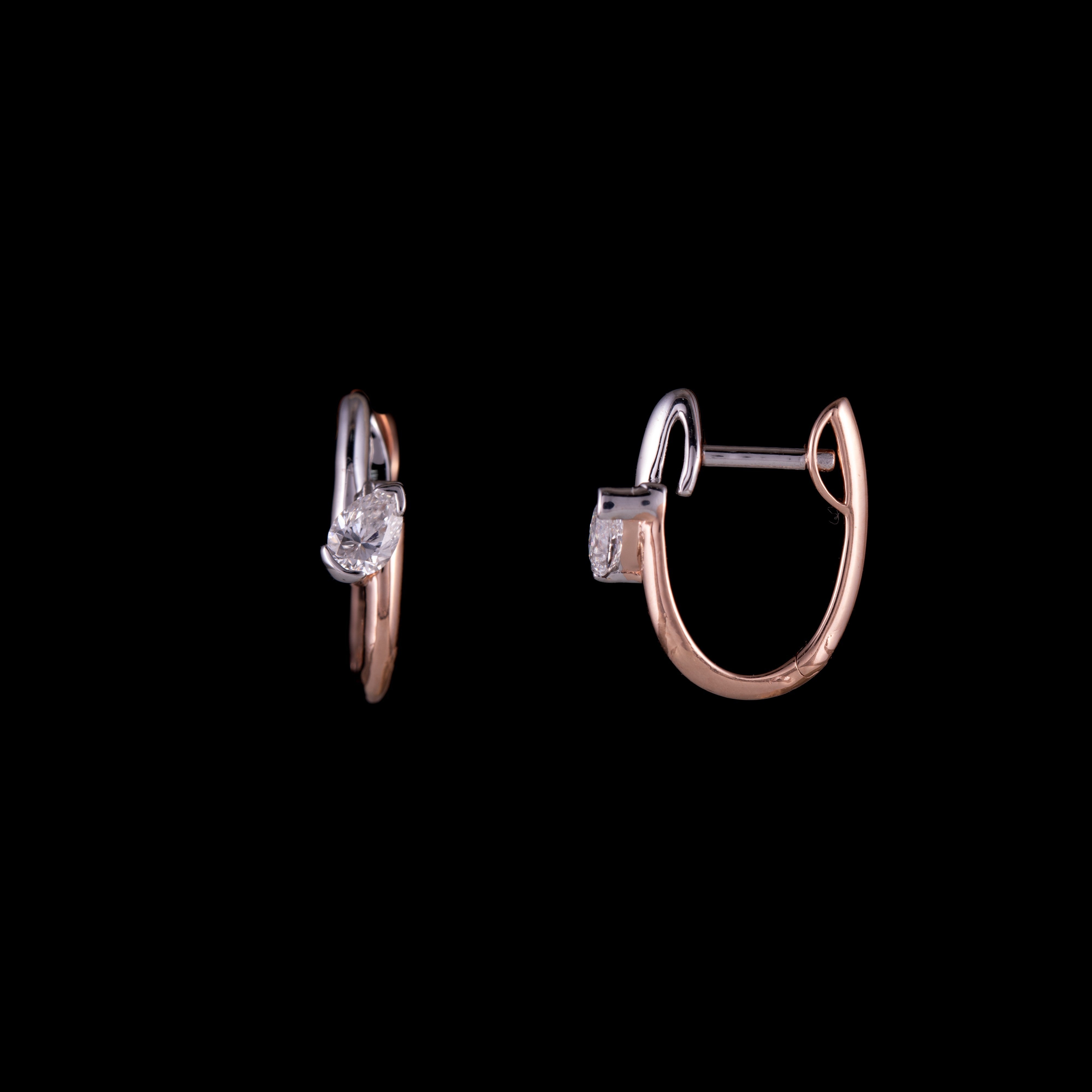 Bridge Earring
