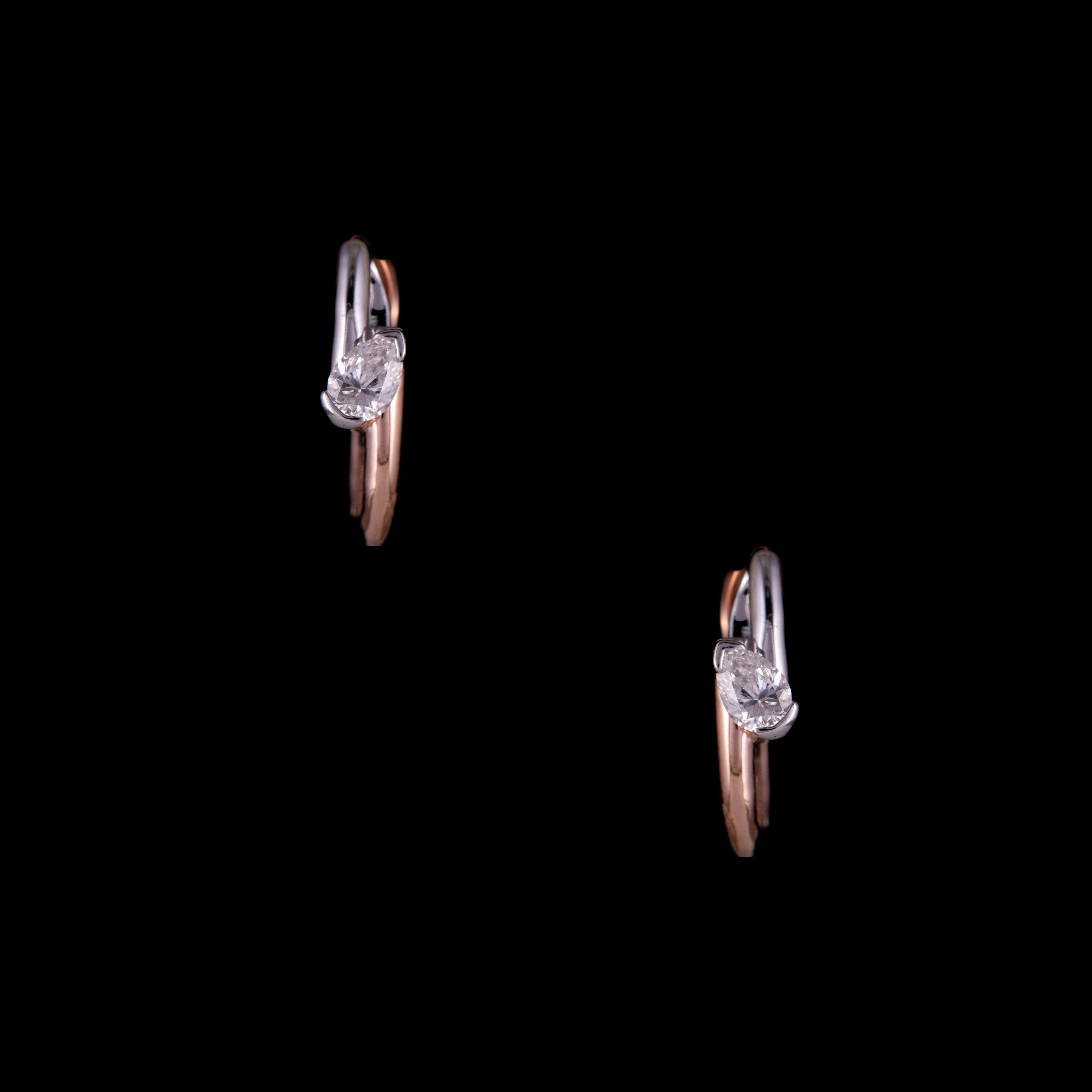 Bridge Earring