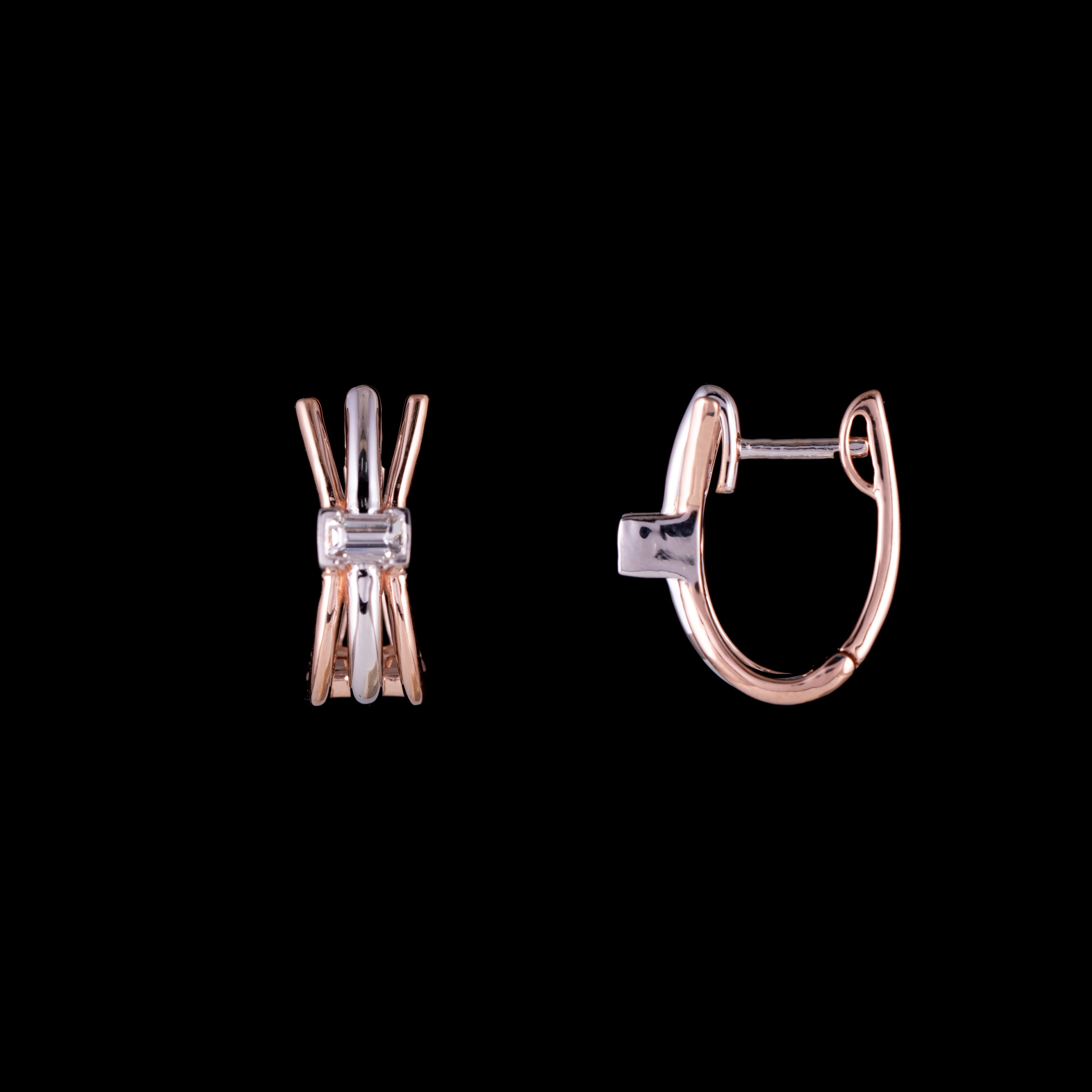 Fan Earring