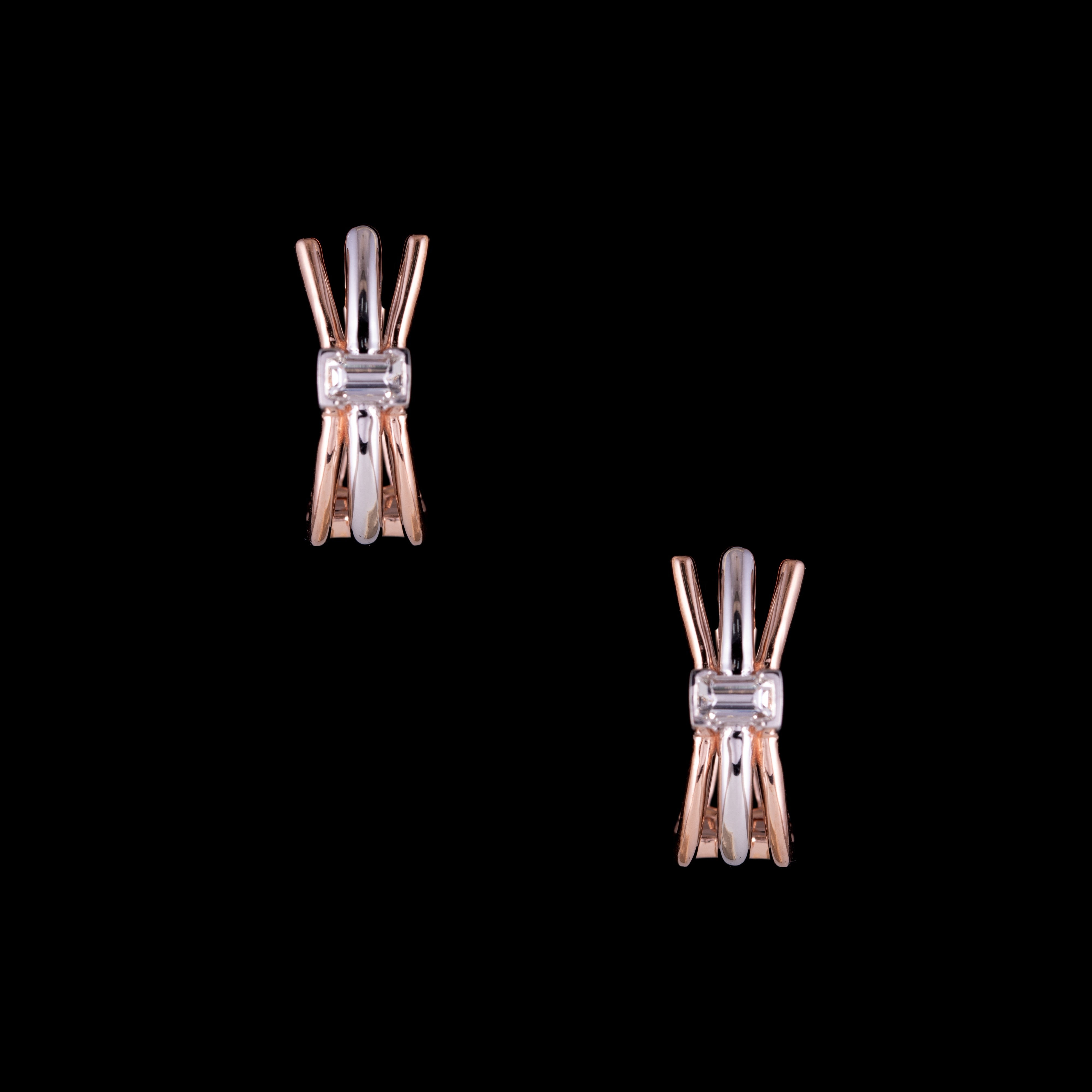 Fan Earring