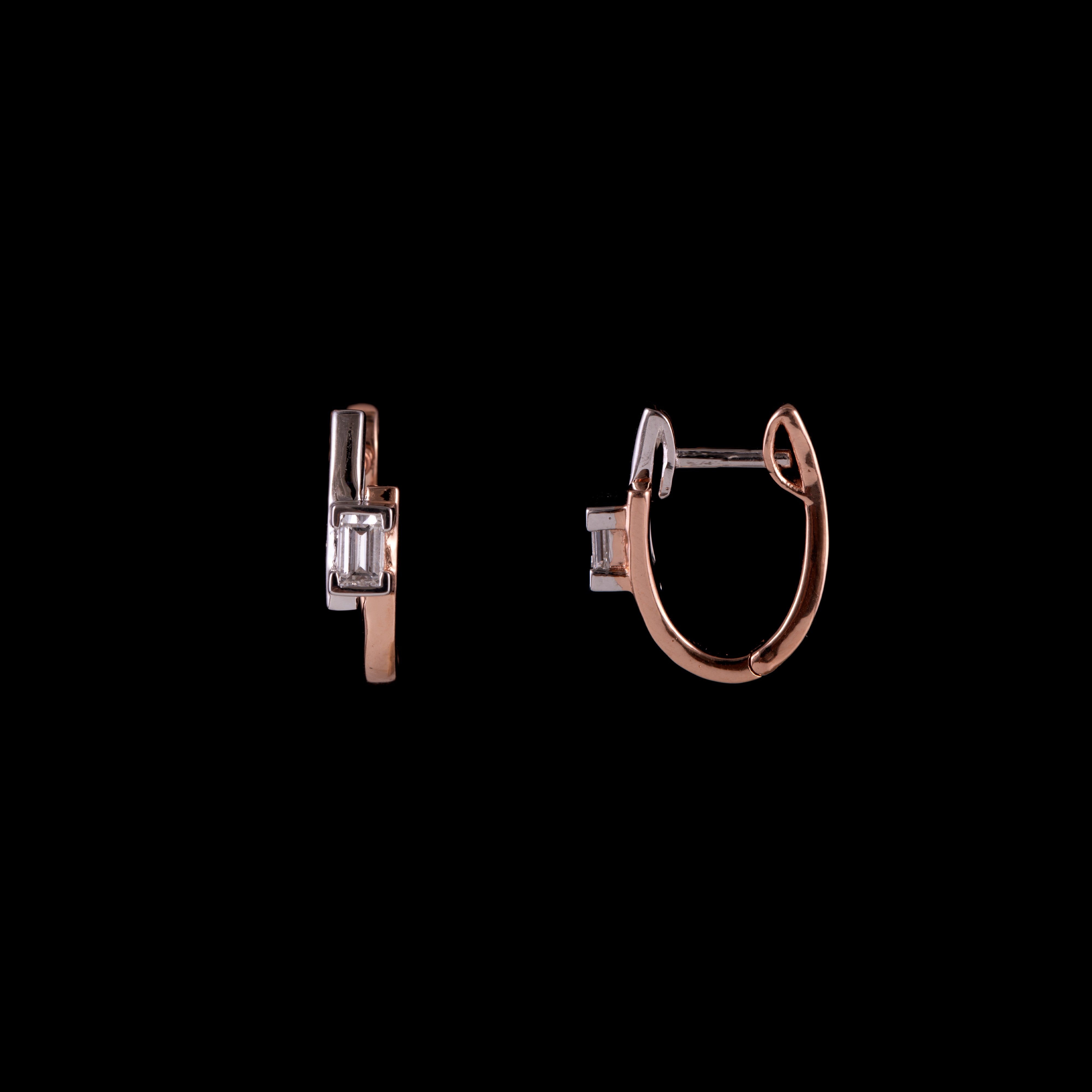 Ledge Earring