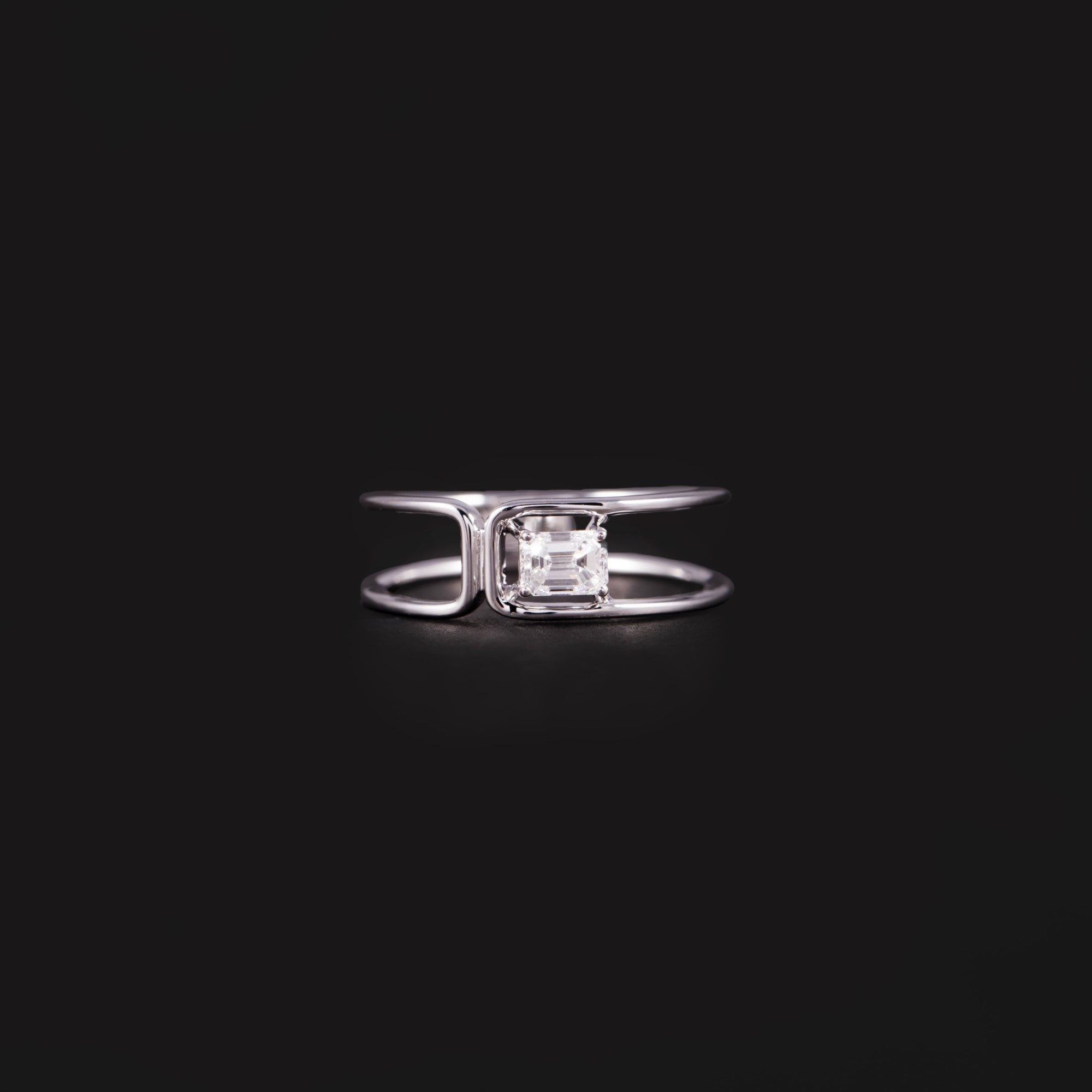 Kepler Ring